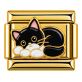 Cat Charm