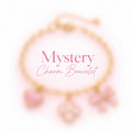 Mystery Charm 3 Bracelet